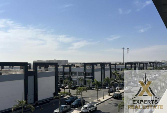 56253450 - Property Image 3