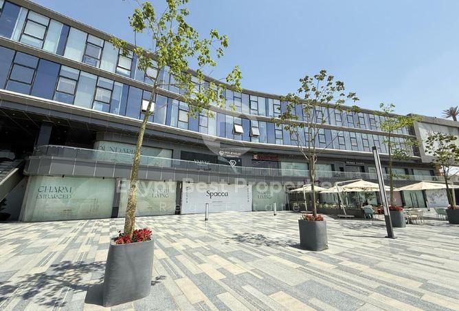 8580679 - Property Image 3