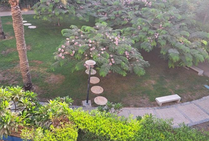 8625798 - Property Image 2