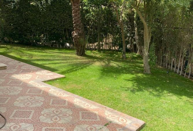 101497751 - Property Image 3