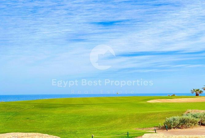 98008975 - صورة العقار 3