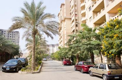 Apartment - 3 - 2 for sale in Palm City - El Katameya Compounds - El Katameya - New Cairo City - Cairo Apartment - 3 - 2 for sale in Palm City - El Katameya Compounds - El Katameya - New Cairo City - Cairo