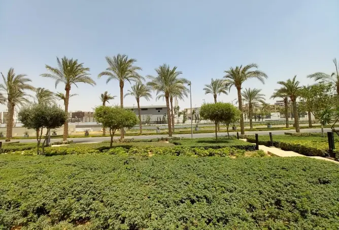 107962168 - صورة العقار 2