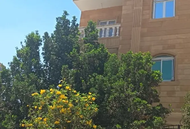 111604593 - صورة العقار 3
