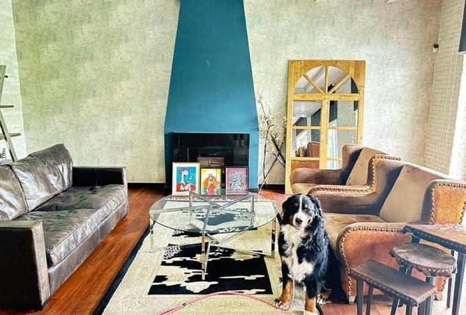 57248884 - Property Image 2