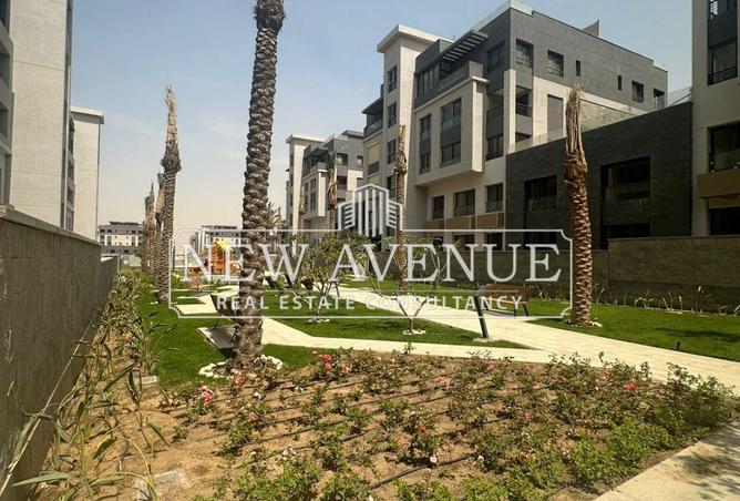 64383119 - Property Image 2