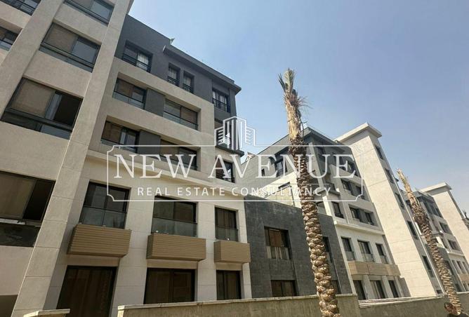 64383119 - Property Image 3