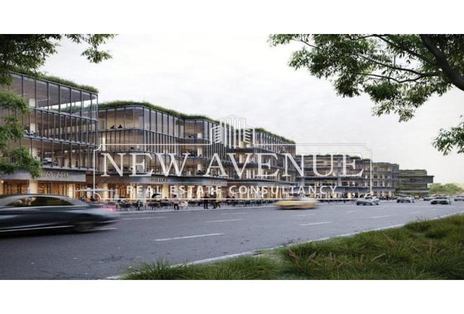 53219936 - صورة العقار 2