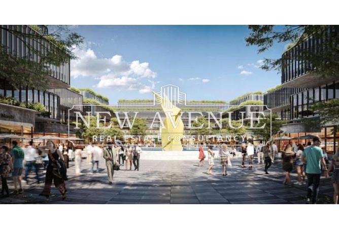 53219936 - صورة العقار 3