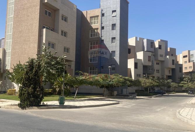 53726395 - Property Main Image