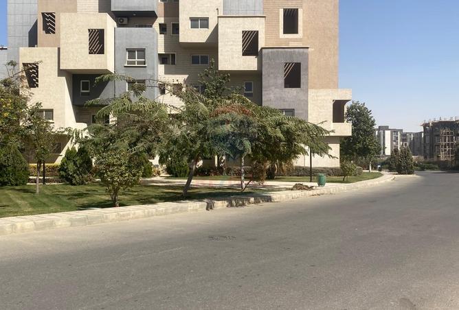 53726395 - صورة العقار 3