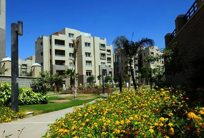 118809007 - صورة العقار 3