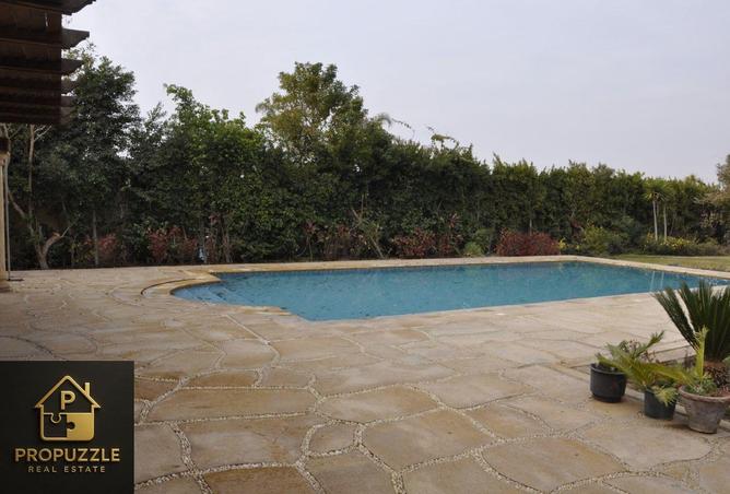 55252609 - Property Image 3