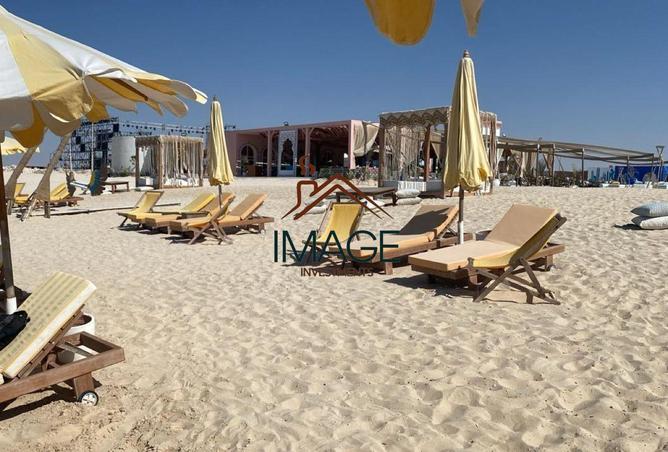 62652255 - Property Image 3