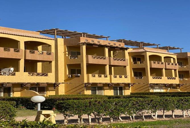 59243482 - Property Image 3