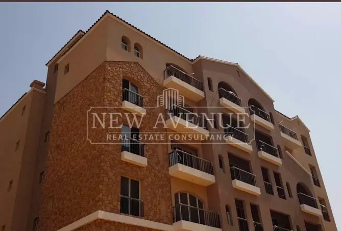 109905456 - Property Image 2