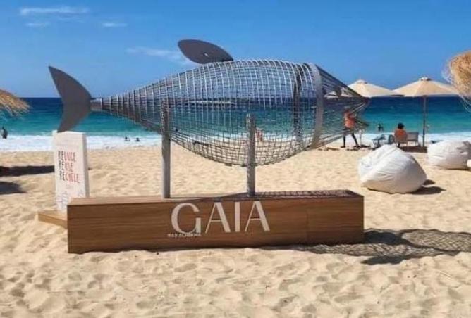 65662195 - Property Image 3