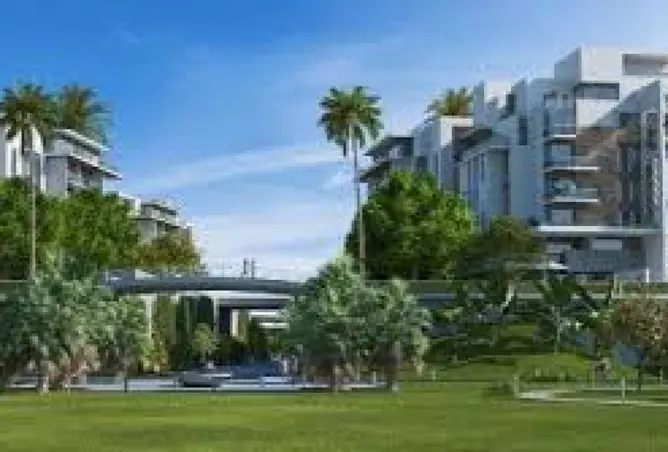 117023176 - Property Image 3