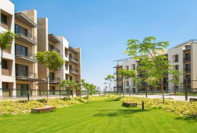 70369417 - صورة العقار 3