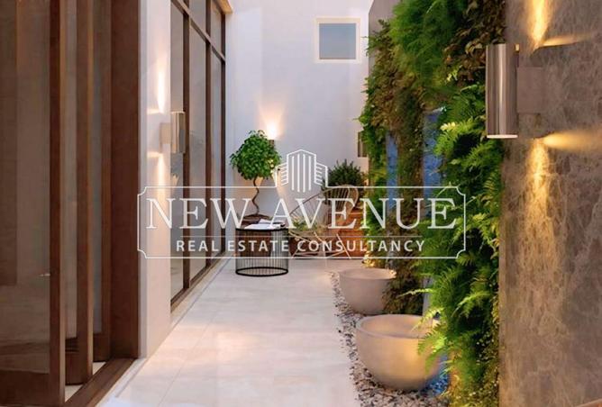 57494565 - Property Image 3