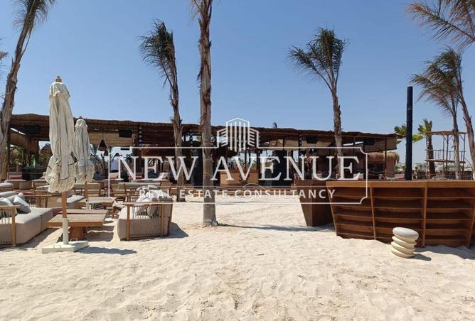 66951118 - Property Image 3