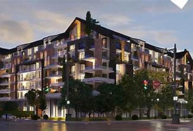 56256611 - Property Image 2