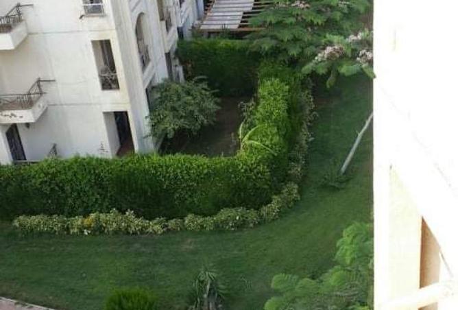 56001570 - Property Image 2