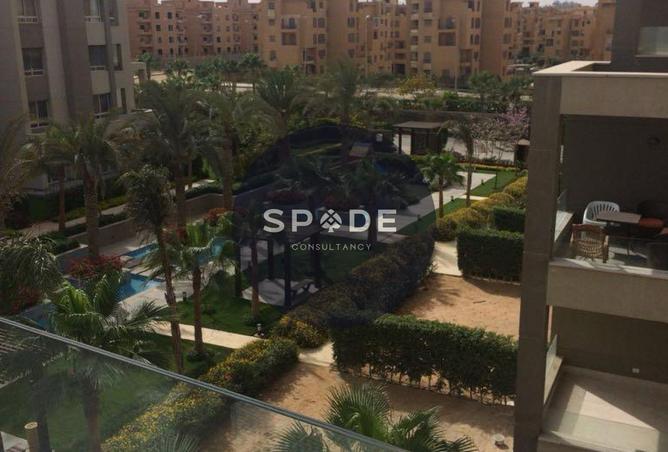 53728930 - Property Image 3