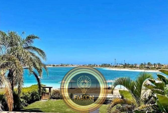 56988835 - Property Image 2