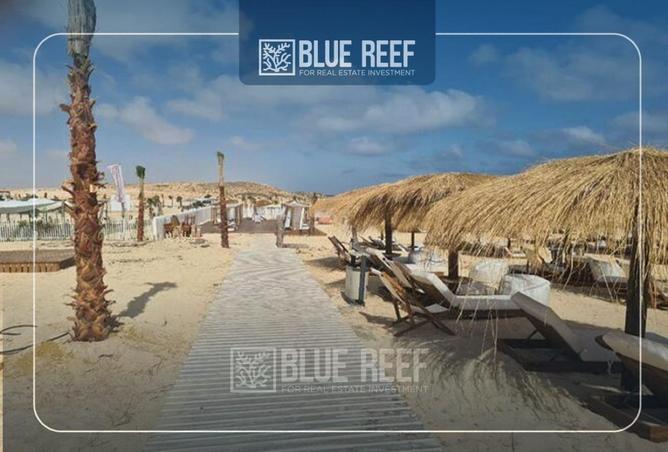 67479629 - Property Image 3