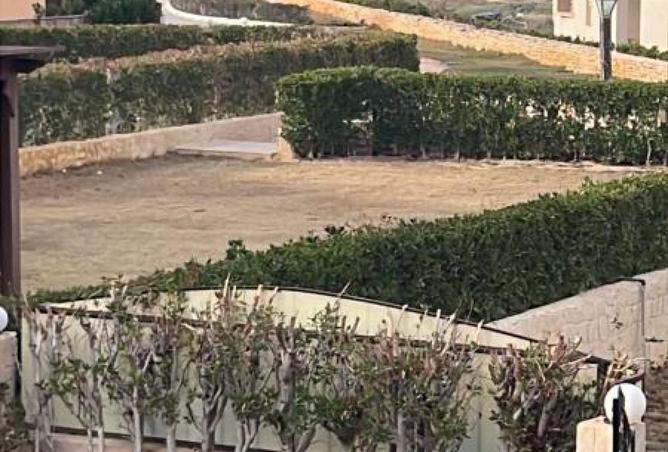 65411537 - Property Image 3