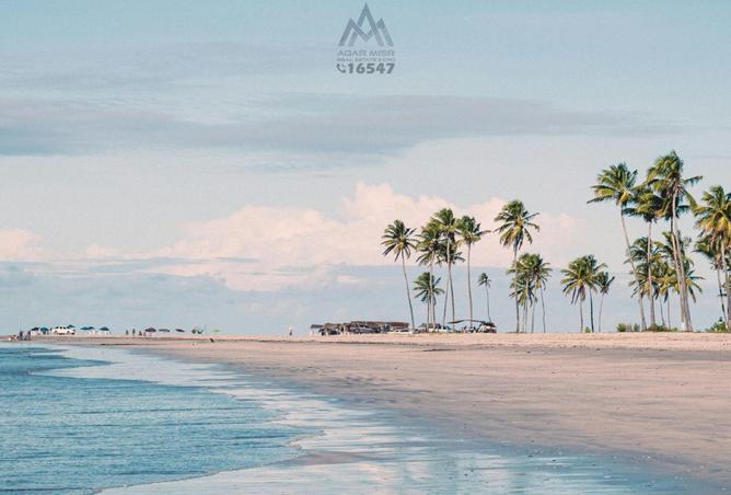 56750968 - صورة العقار 2