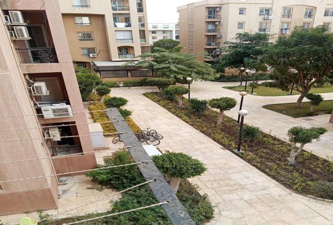 8690118 - Property Image 3