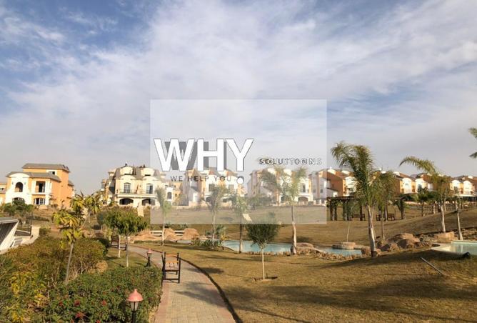 77323336 - Property Image 3