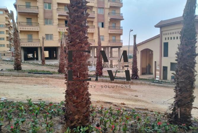 65157662 - Property Image 3