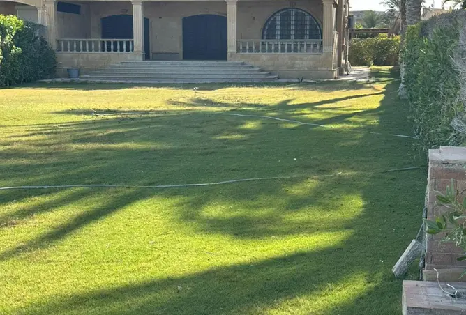 85883251 - صورة العقار 3