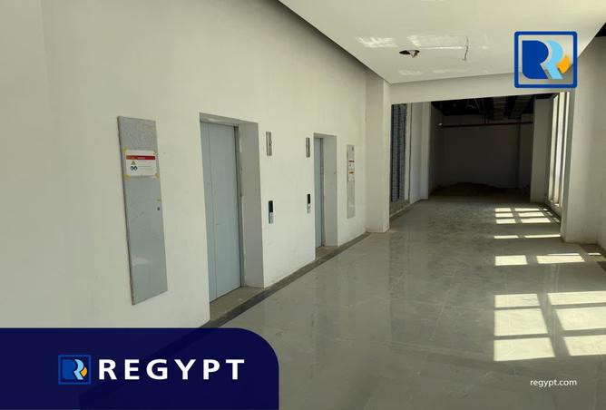 107681859 - صورة العقار 3