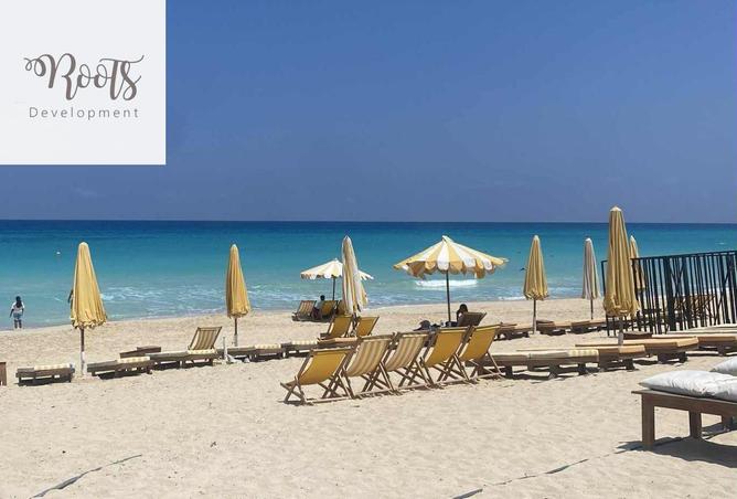 56242856 - Property Image 3