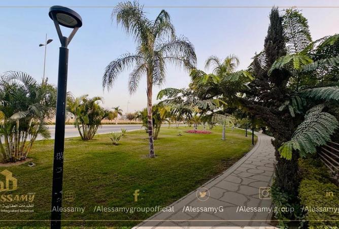 8590026 - Property Image 2