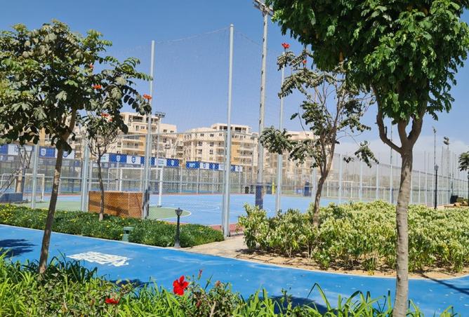 8517191 - Property Image 3