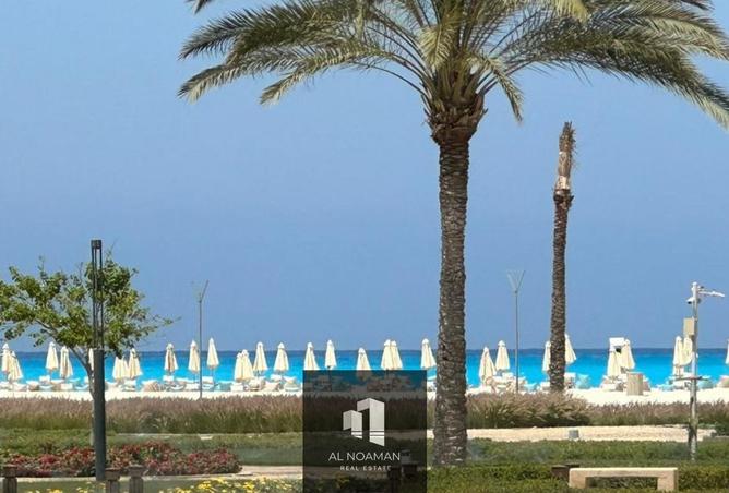 57906694 - صورة العقار 3