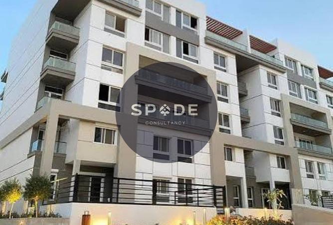 55498430 - Property Image 2