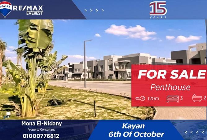 55499772 - Property Main Image