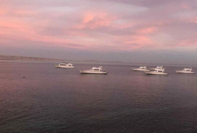 62172049 - صورة العقار 3