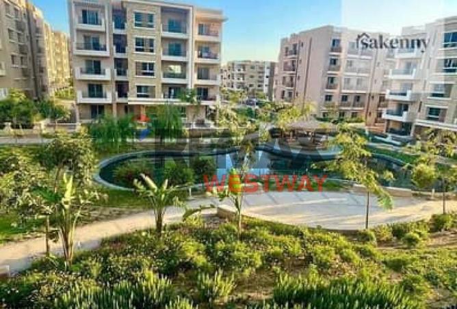 58252868 - Property Image 2