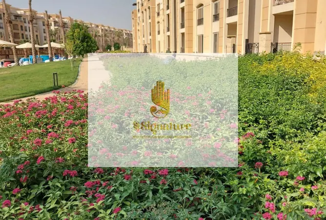 113254772 - Property Image 2