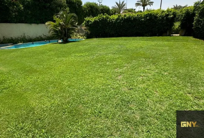 111029193 - صورة العقار 3