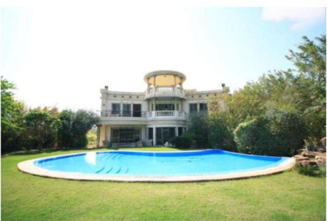 71397319 - Property Image 3