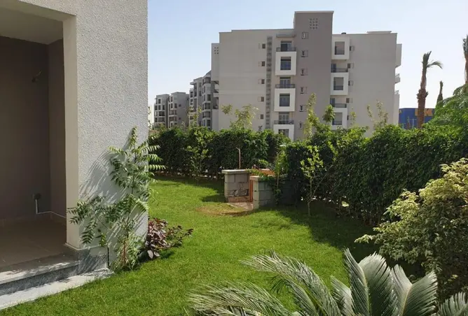 68533908 - صورة العقار 3