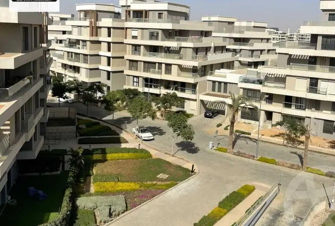 118028143 - Property Image 2